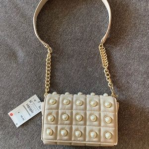 Zara purse/ clutch